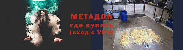 шишки Арсеньев