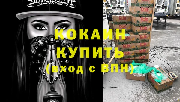 стафф Алексин