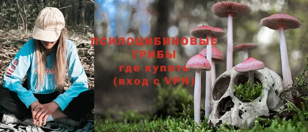 стафф Алексин