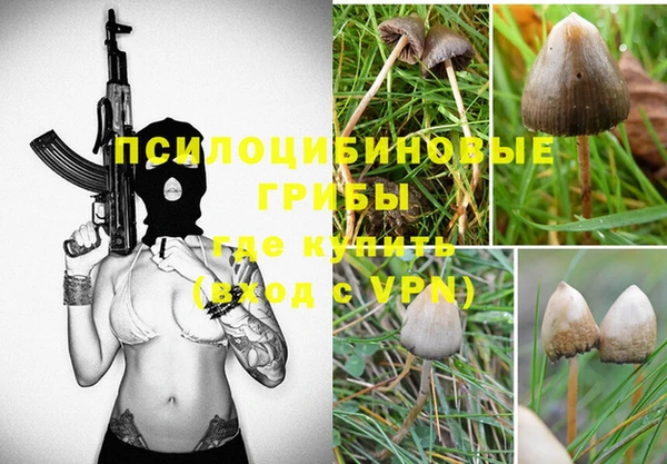 стафф Алексин