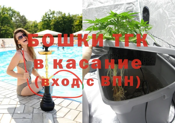 сатива Алзамай