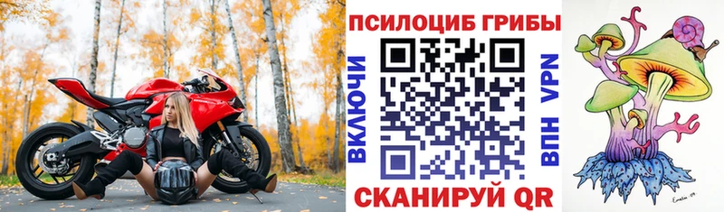 Галлюциногенные грибы Psilocybe  mega   маркетплейс клад  Набережные Челны 